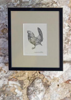 Hearth and Home Postcard set in a frame