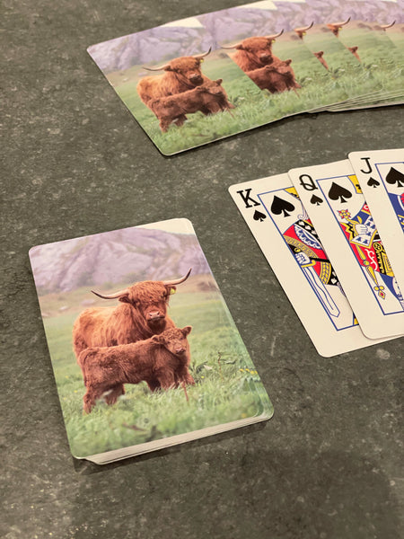 Playing Cards with highland Family image
